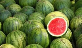 外国吃瓜视频爆料大全,外国吃瓜视频爆料大全揭秘